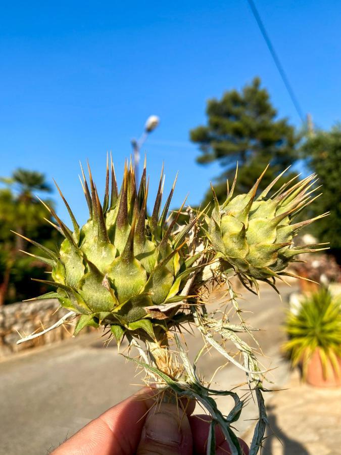 Casa vacanze Arte Povera In Idyllischem Naturreservat *